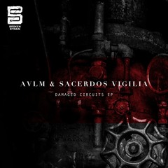 AVLM & Sacerdos Vigilia - Damaged Capacitor