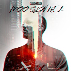 Astro Vs Judgement Day (BIGMOO Mashup) - Toby Green vs Hardwell and Sub Zero Project