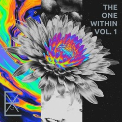 The One Within Vol. 1