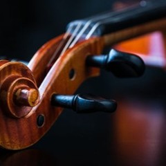 Violin Concerto in B Minor (Concerto in si minore) - 1. Allegro