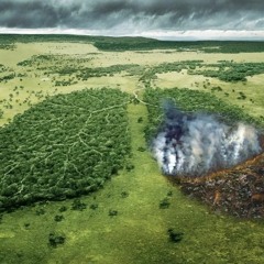 Nocturn - Breathe [155]