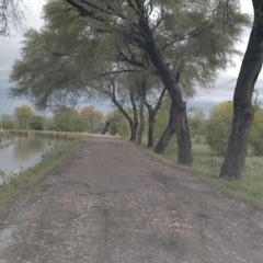 Majnoon x Deniz Özçelik - Neylerim (Serdar AYYILDIZ Remix)