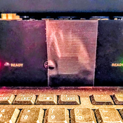 The cat who played bass