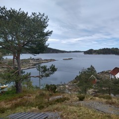 Wii Snorkling - Forgotten