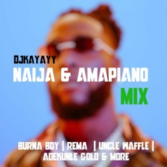 Naija & Amapiano Mix 2023 | Burna Boy | Rema | Uncle Waffle | Adekunle Gold & More