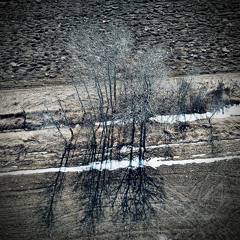 She Talks To Angels (featuring The Madman Toby Jenner)