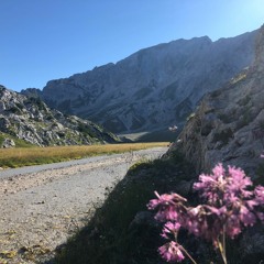 «Als ich um die Ecke bog, war plötzlich alles still»