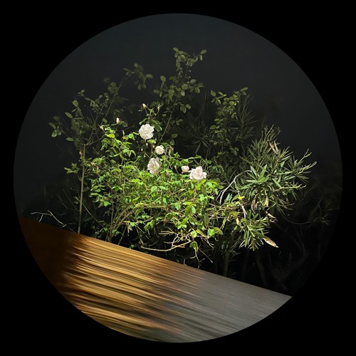 PREMIERE: Ben La Desh - Heel Goed [Dirt Crew Recordings]