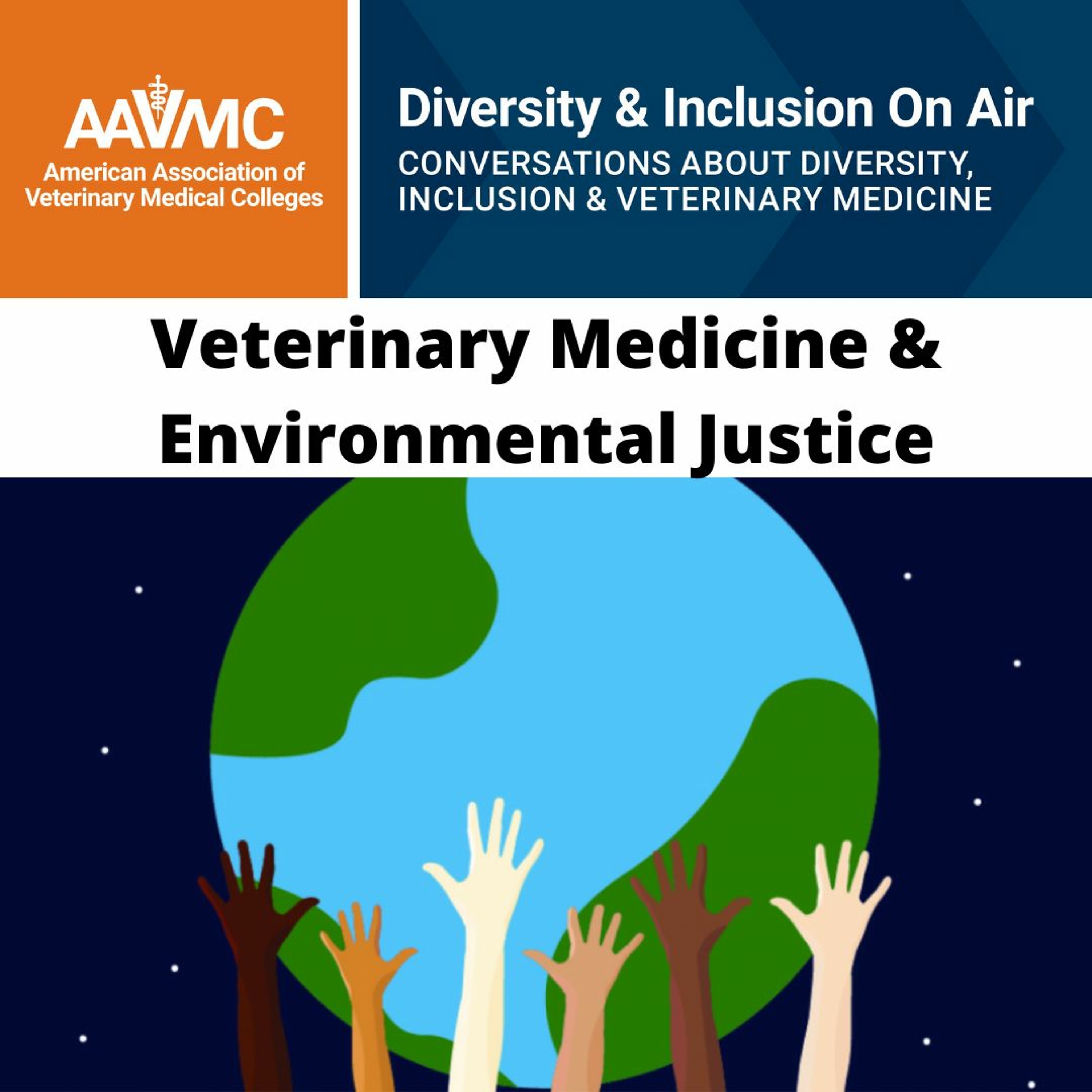 AAVMC\'s On Air: Conversations about Issues in Veterinary Medicine