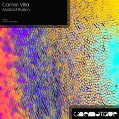 Camiel Villa - Abstract Illusion