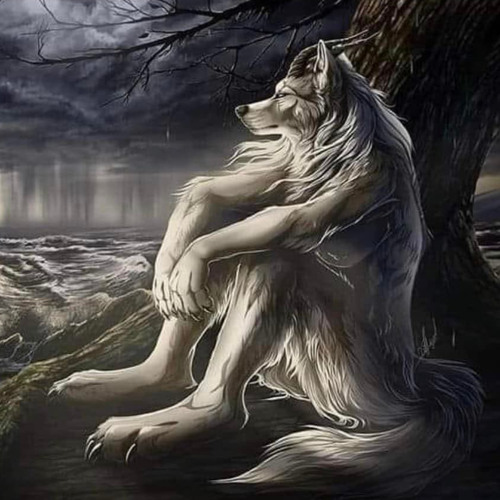 Tsunami J. & Matt Bartkus - Star Dust (instrumental)