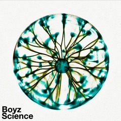 Boyz Science - Healing Process [FREE DL]