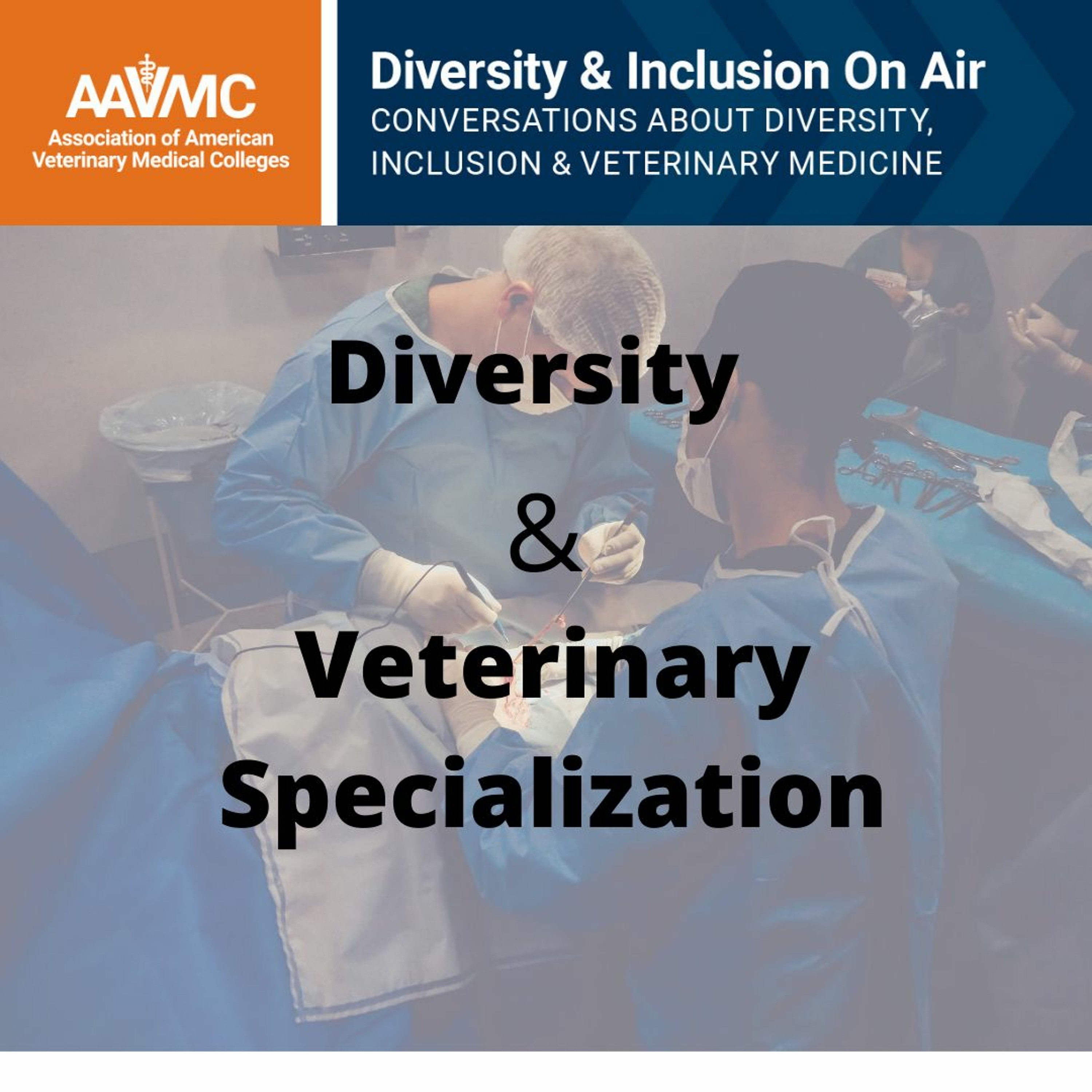 AAVMC\'s On Air: Conversations about Issues in Veterinary Medicine