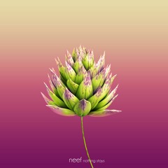 Nothing Stays (feat. Ellie Xy)