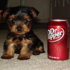 JT - Ran Out (Thiti Remix)