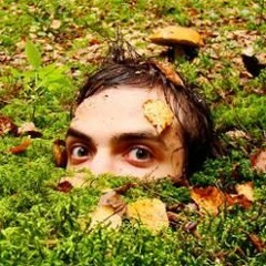 Мох-Самолёт