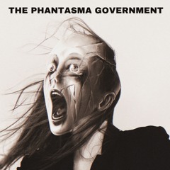 The Phantasma Government