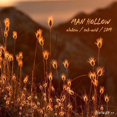 elektro /tek-acid/IDM