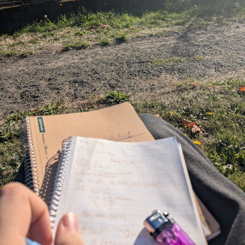 i got the network//cartoon