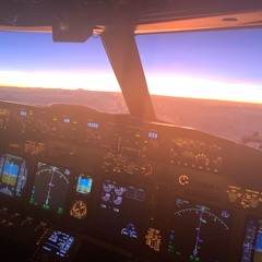 pilot's view