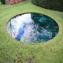 two_way_mirror_pond