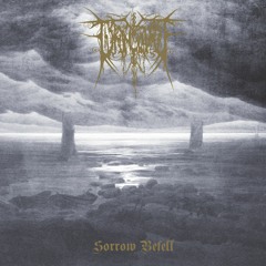 Ringare - Forever In Shadow