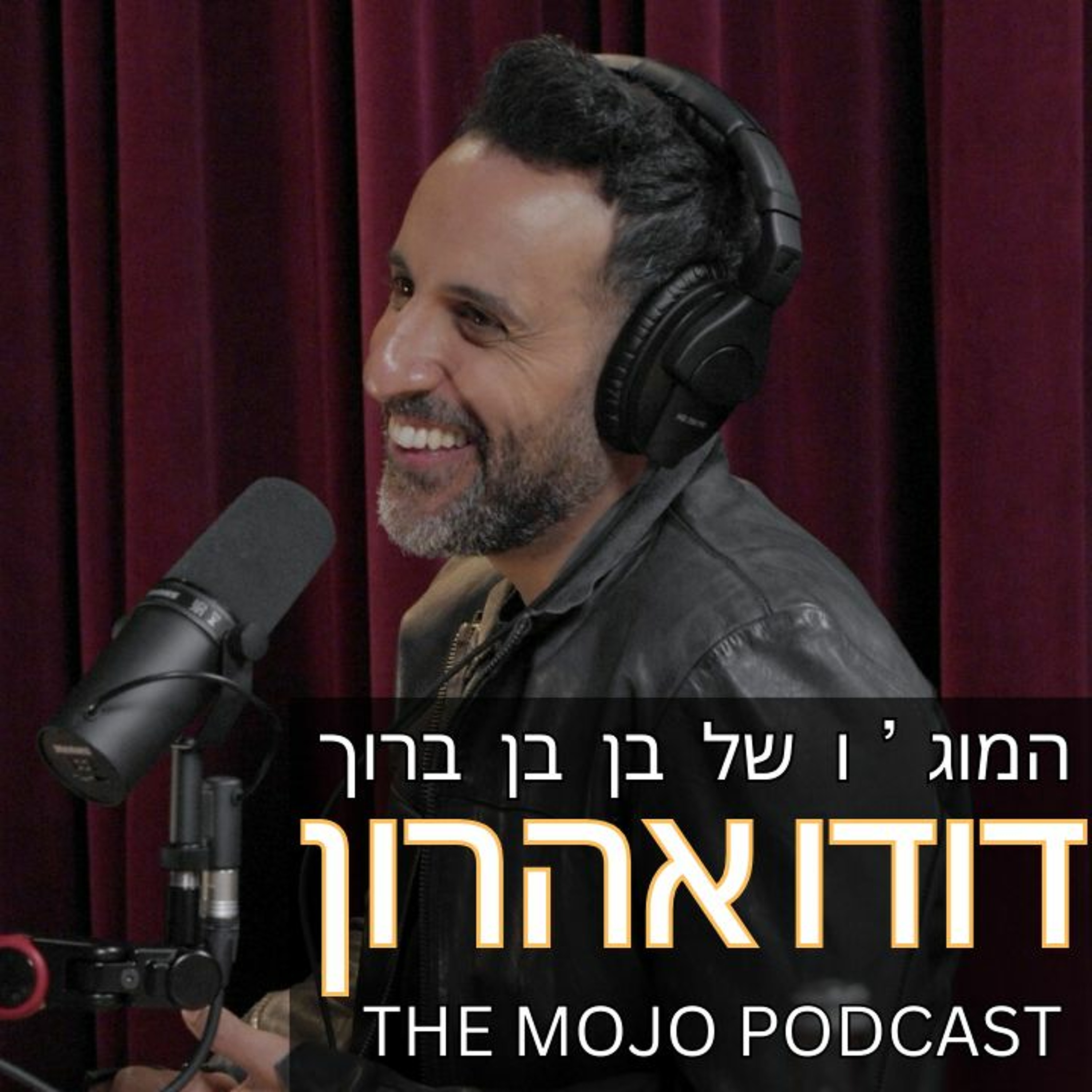 דודו אהרון