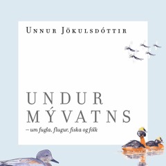 Undur Mývatns: Unnur Jökulsdóttir - 1. kafli, hljóðbrot