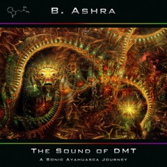 B. Ashra - The Sound Of DMT (Snippets)