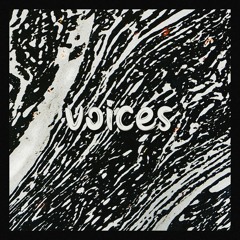 voices [rokk dat sample - flip #3]