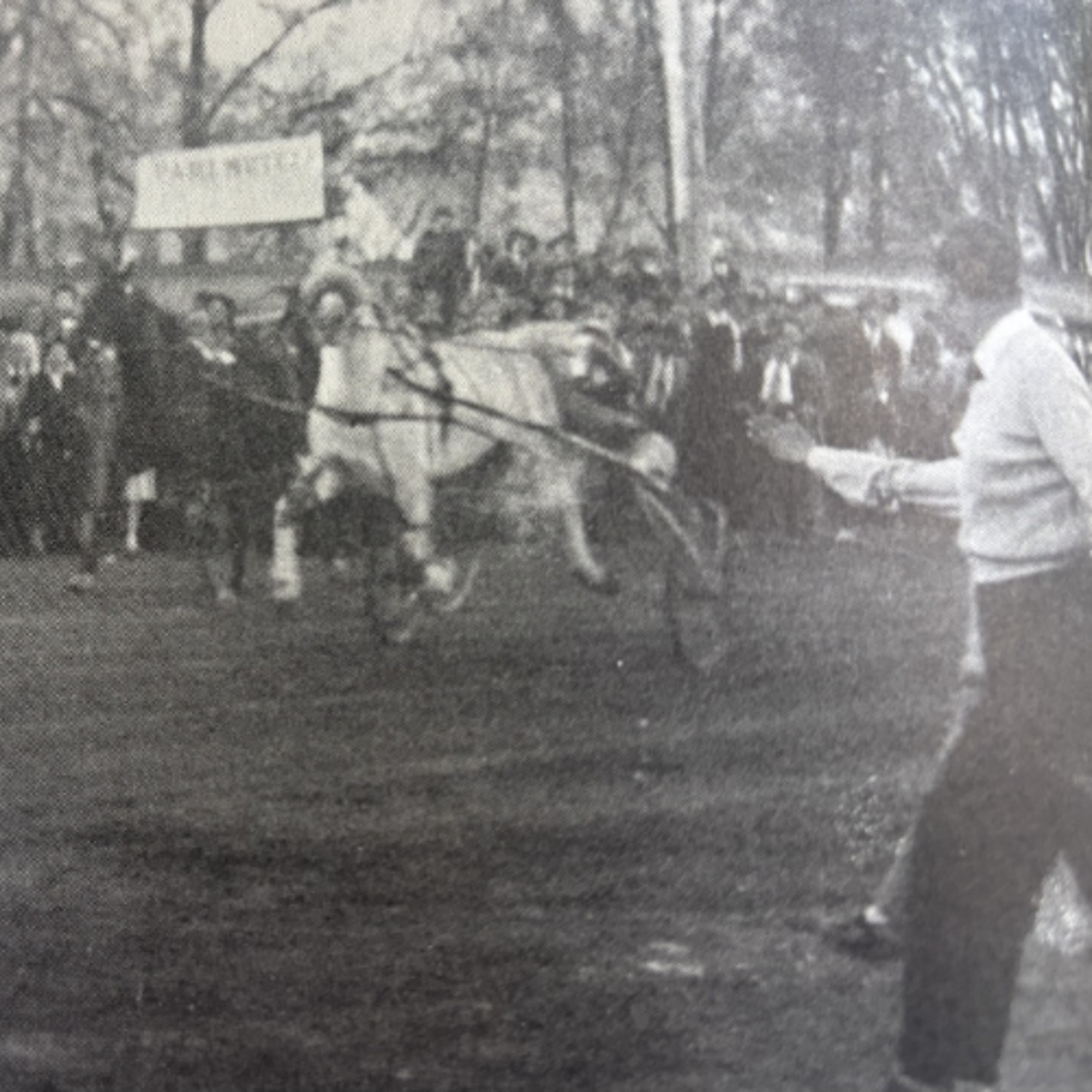 Chronique Les Belles Histoires de Roch Létourneau - Parc Meadow à Coaticook episode artwork