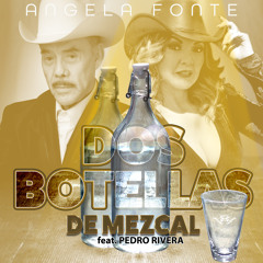 Dos Botellas de Mezcal