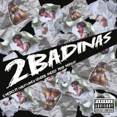 General Sneeks x Gmedici x Chaley Lane - 2Badinas