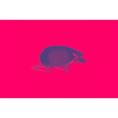 Hedgehog (Industrial Dub)