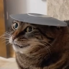 What rhymes with hug me?