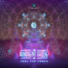 Feel the Force (Original Mix)