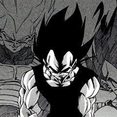 PULSE X VEGETA X OHMA TOKITA