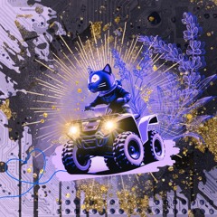 meowtorcross