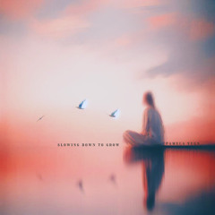 Slowing Down To Grow🔸Full Album Stream