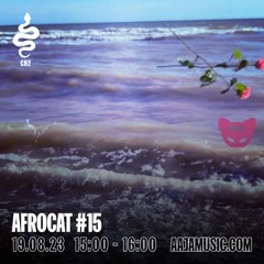Afrocat #15 - Aaja Channel 2 - 19 08 23