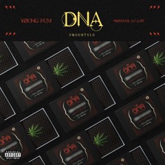 D.N.A Freestyle