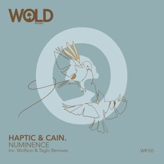 PREMIERE: Haptic & CAIN. - Numinence (Taglo Remix) [WOLD Records]