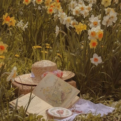 dusty springfield - i only want to be with you (1 hour)