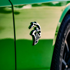 HELLCAT (Xemii & SYNX & L$ XAN)