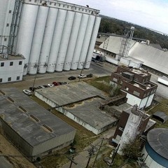 Jamison Bleached Waters - 2002 06 ?? - Lab Recording