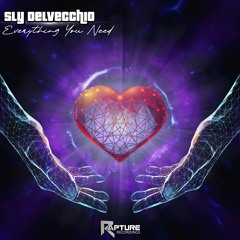 Sly Delvecchio - Everything You Need (Preview) (Out Now)