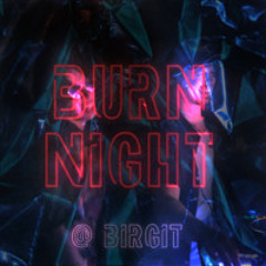 Krokant B2B WUNDERLICH @Burn Night - Birgit Club Berlin