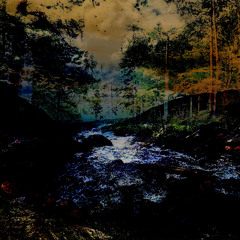 Alluvial Reverberations (2025)