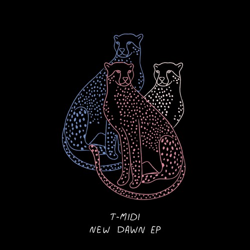 New Dawn