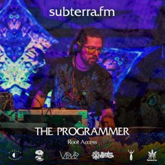Ep.33. The Programmer (Darkpsy, Hi-Tech) - subterra.fm